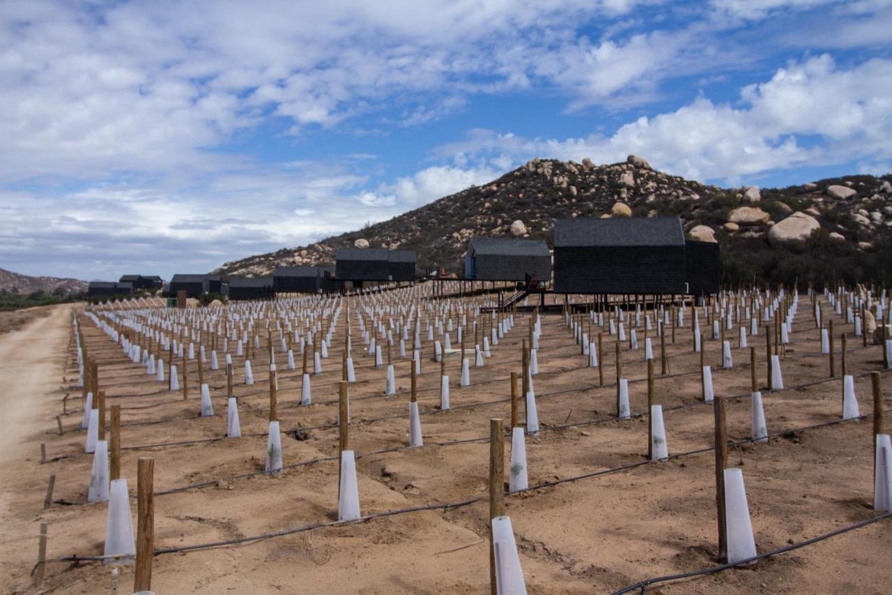 Oeno Wine Lodge Valle de Guadalupe Exteriör bild